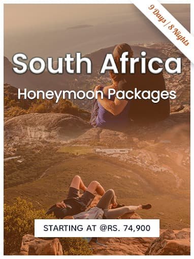 South Africa Honeymoon Packages