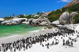 7 Days South Africa Honeymoon Package With Airfare